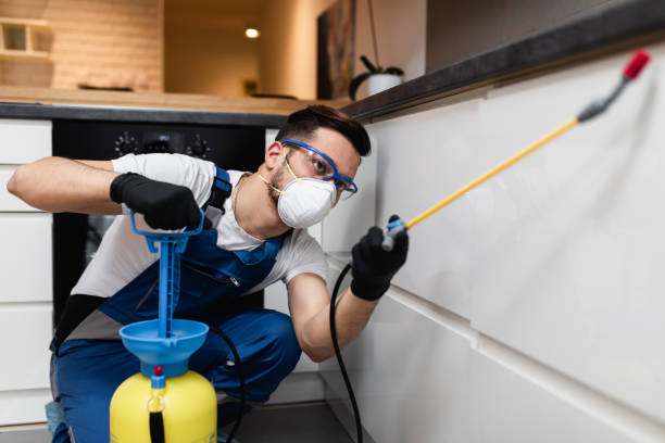 Best Rat Extermination Near Me  in Derby, KS