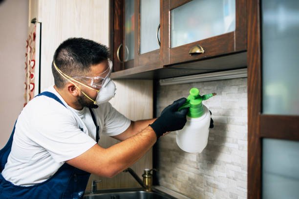 Trusted Derby, KS Pest Control Experts