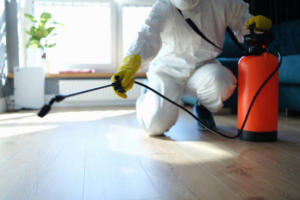 Professional Pest Control in Derby, KS